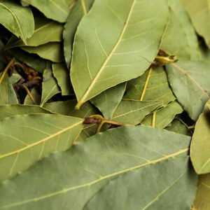 Laurel Leaves