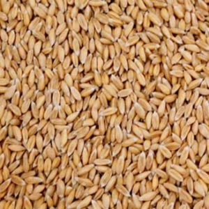 Milling Wheat
