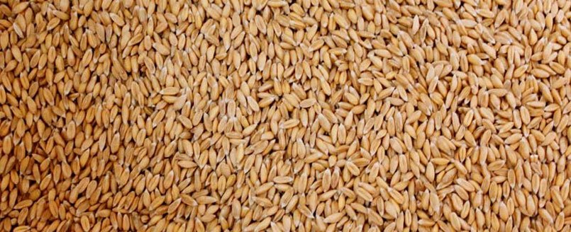Milling Wheat